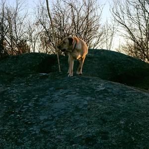 Meet your Posher, Cameron